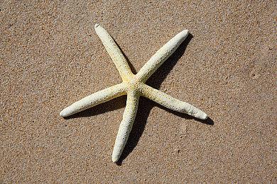 提前发布！ 《丝之歌》首个补丁现已上线